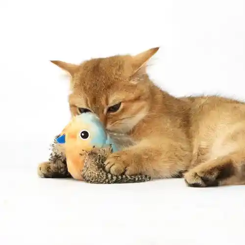 Barkbutler Fofos Blue Bird with Catnip Balls Interactive Toy for Cats