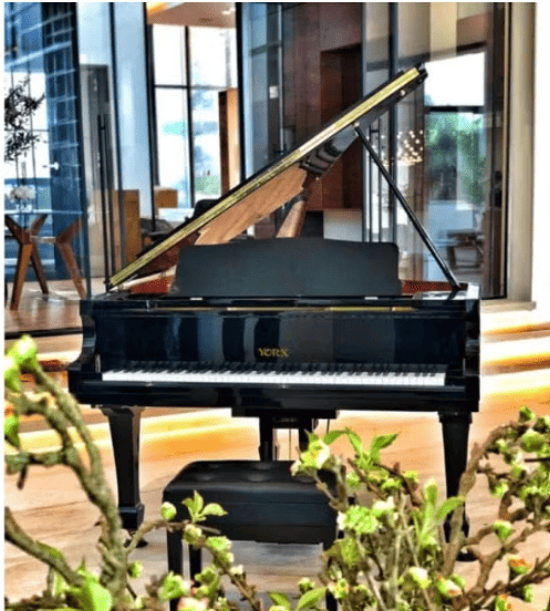 Yorx HG-152-EP 88-Key Digital Grand Piano with Bench, Ebony Polish