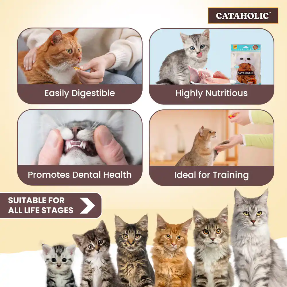 Cataholic Soft Chicken & Sunfish Spiral Cat Treats