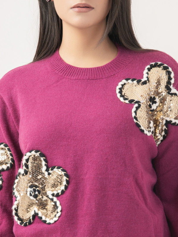 Albion Women Winter Plum Sweaters