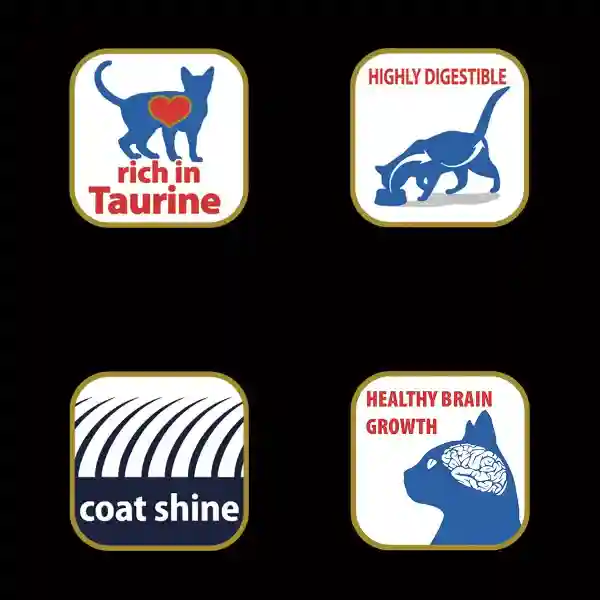 Matisse Dry Kitten Food