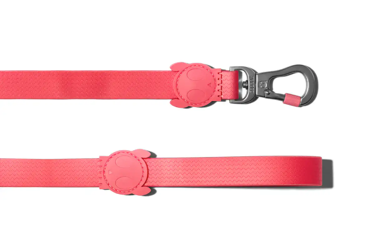 Zee.Dog Neopro Bubblegum Leash for Dogs