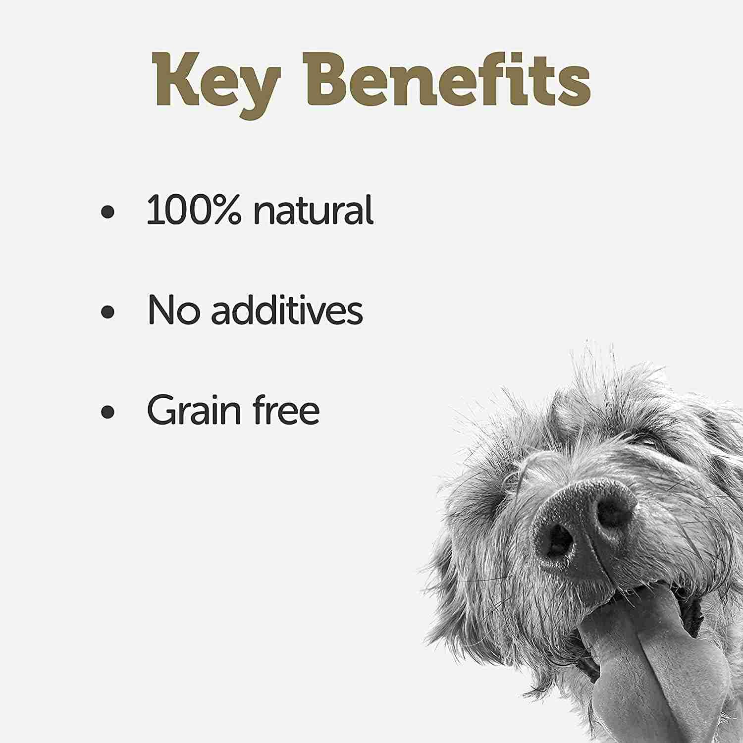 Applaws Dog Chicken Breast With White Beans Pumpkin and Peas, 85 g