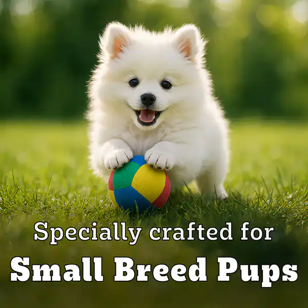 Pedigree PRO Expert Nutrition Small Breed Puppy (2 to 9 Months) Dry Food 1.2kg