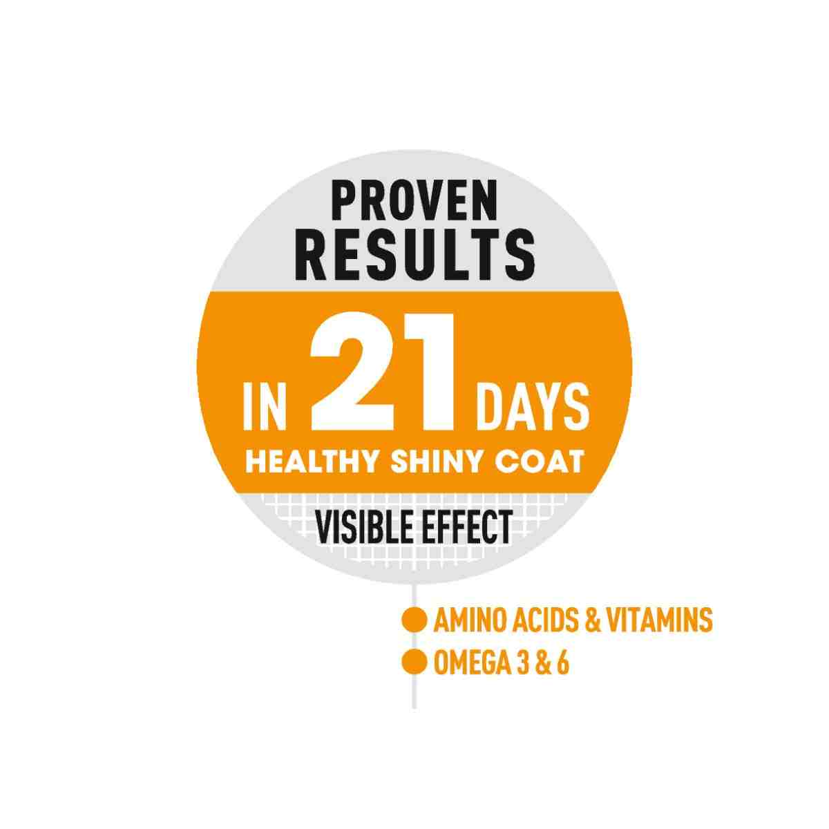 Royal Canin Hair & Skin Dry Cat Food with Free Gravy Pack