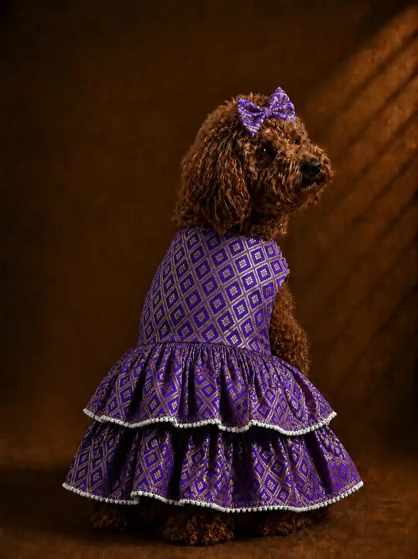 Pawsh Pet Purple Royale Ruffles for Dogs