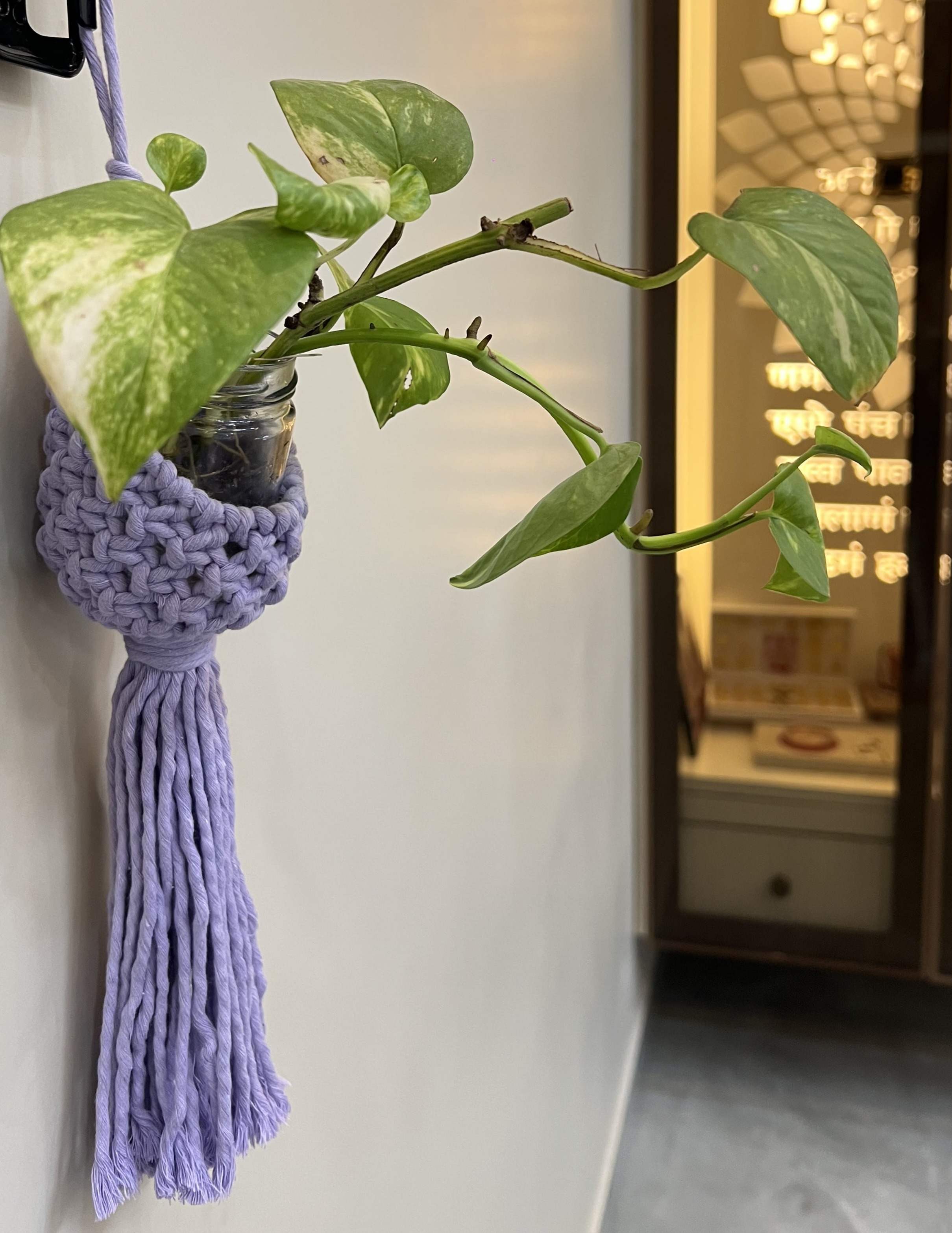 Macrame Beehive Plant Hanger
