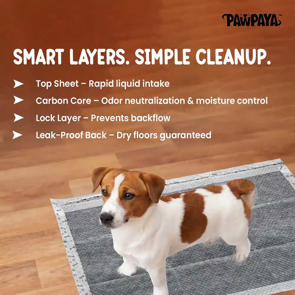 Pawpaya Carbon Training Pad for Dogs