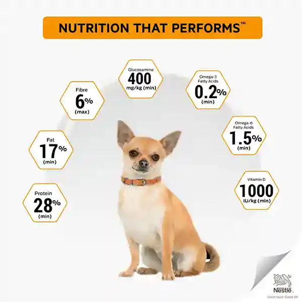Purina Pro Plan Small and Mini Adult Dry Dog Food