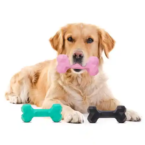 Barkbutler Chu The Bone Treat Dispensing Toy for Dogs (Small, Black)