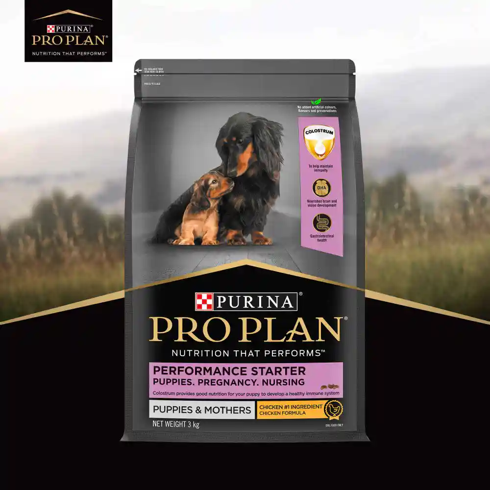 Purina Pro Plan Chicken Mother and Puppy Starter Dog Dry Food 1kg