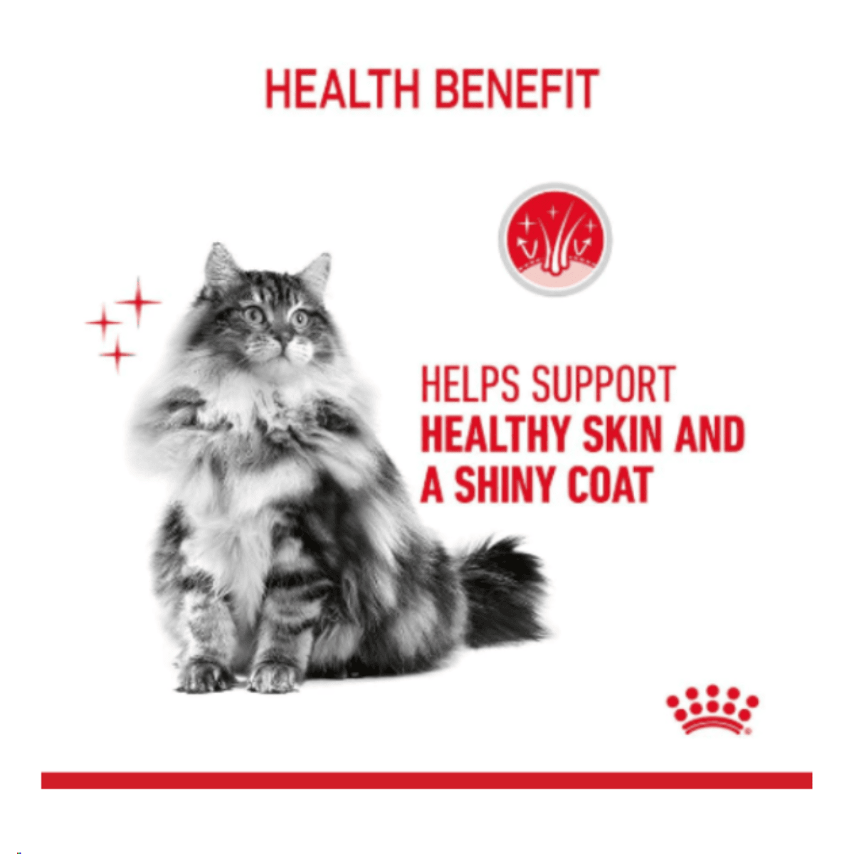 Royal Canin Hair & Skin Care Adult Gravy Cat Wet Food – 85 g