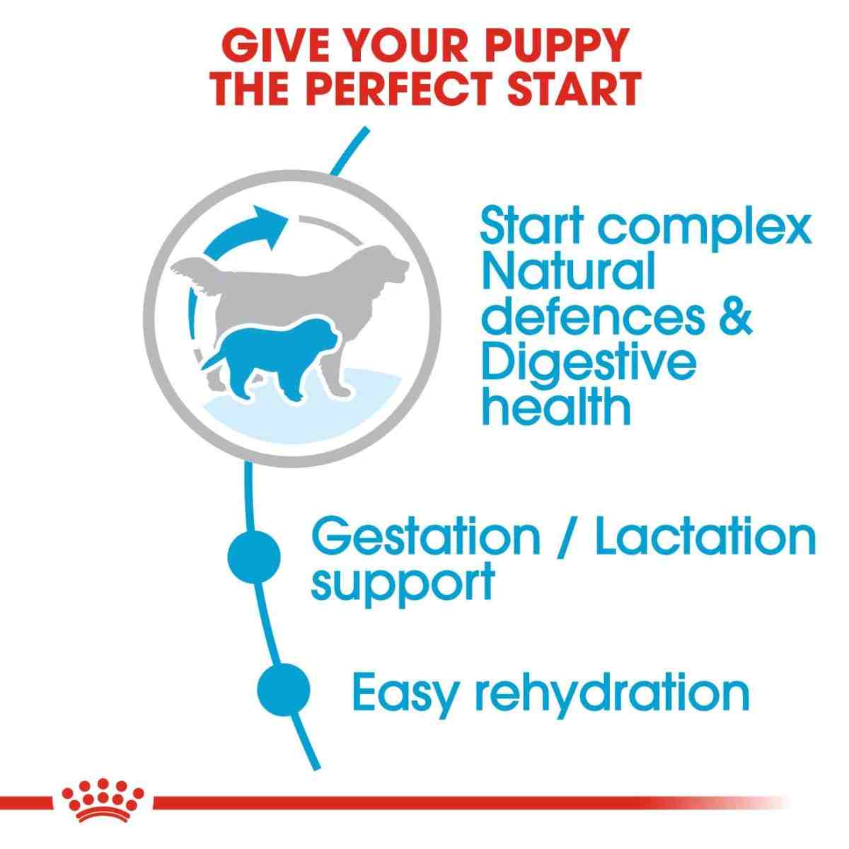 Royal Canin Giant Starter Dry Dog Food