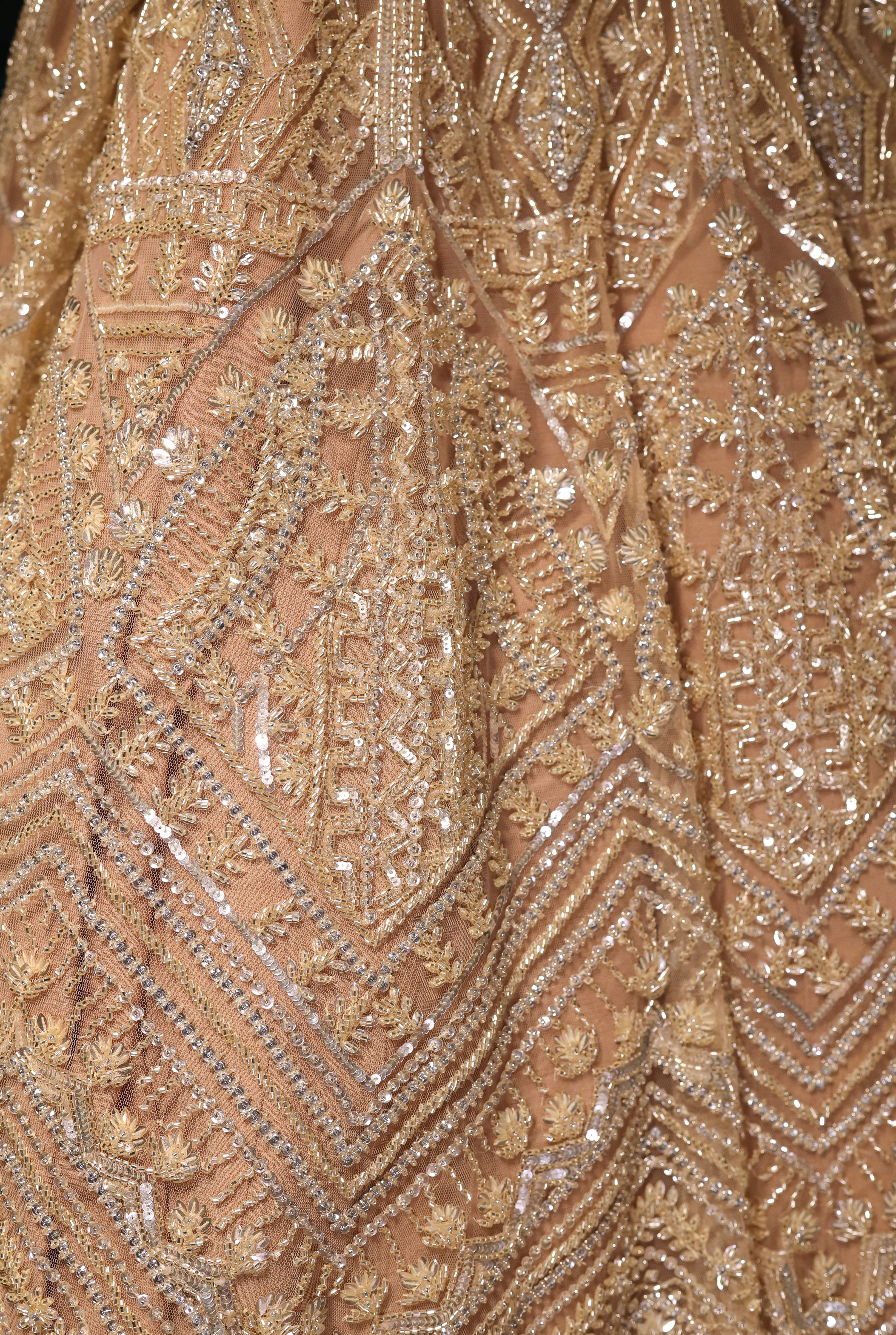 Light Gold & Silver Lehenga