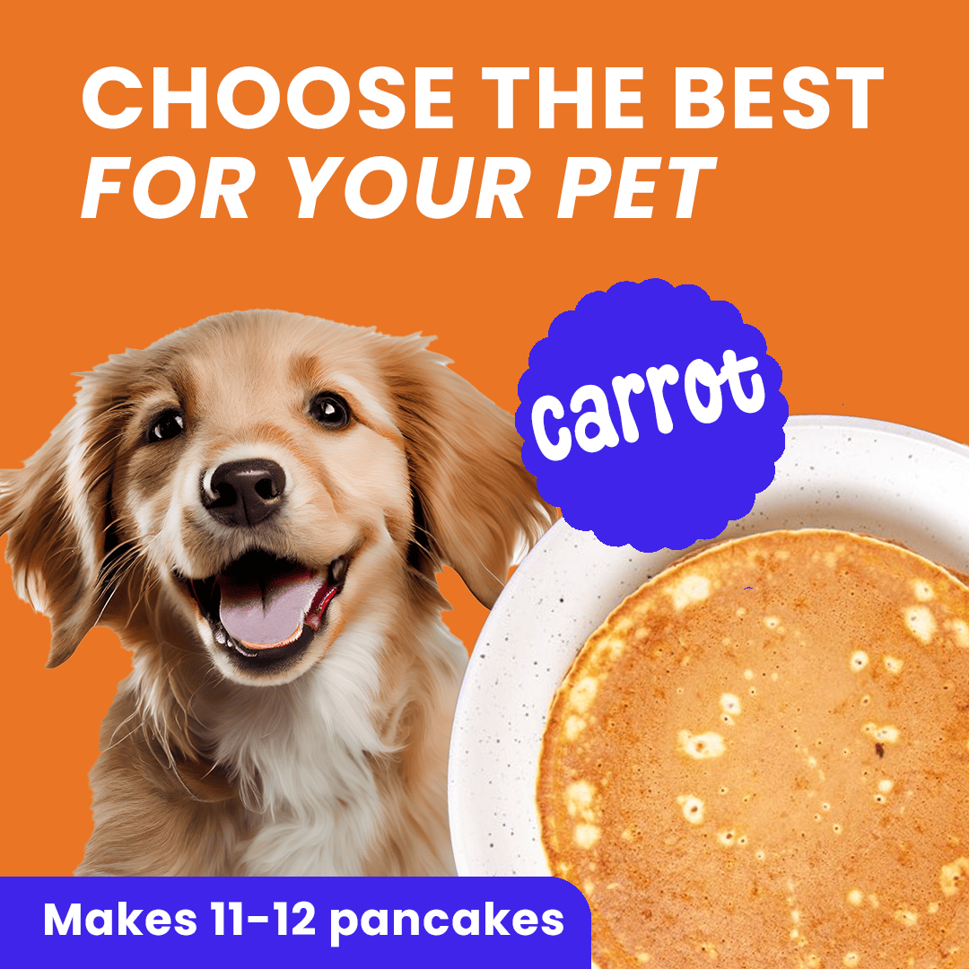 Casper Pancake Mix Carrot Flavour Dog Treat - 250g
