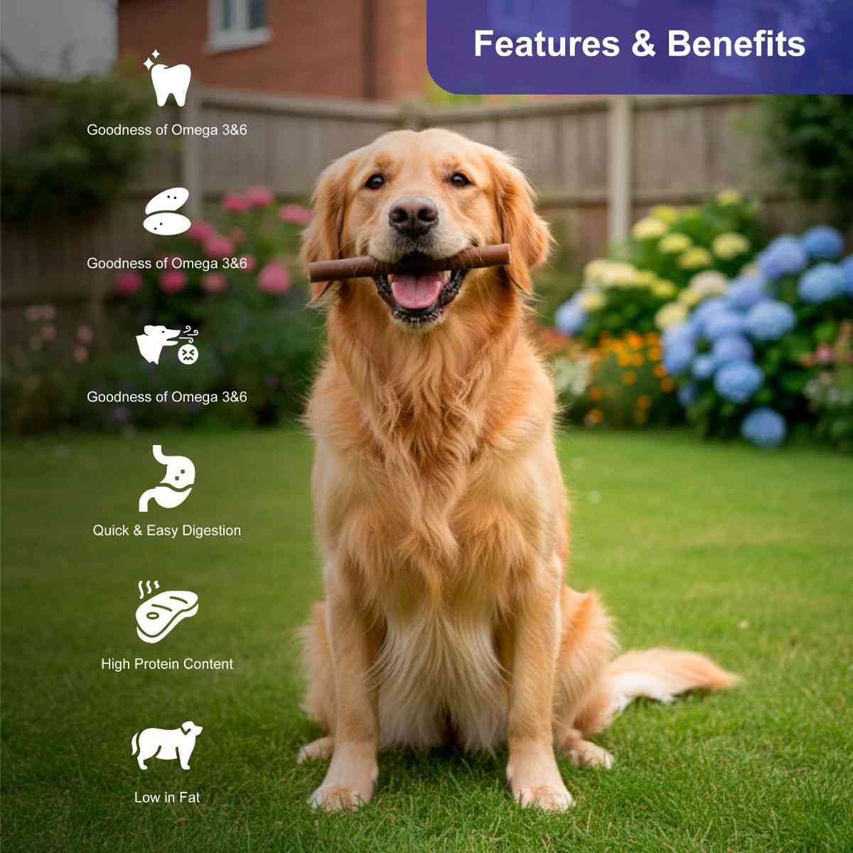 Snackers Non Rawhide Chews Two Tone Wrap Stick Dog Treats, 225 g