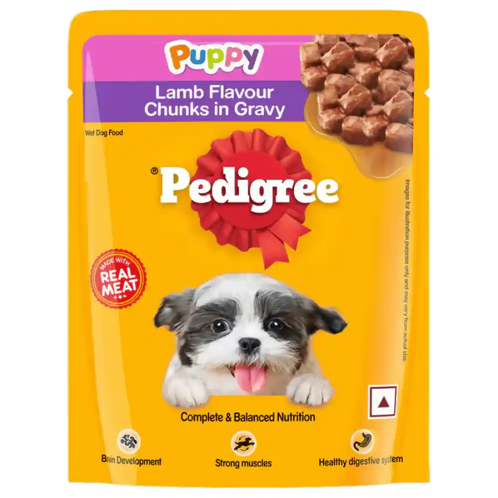 Pedigree Puppy Wet Dog Food Lamb Flavour Chunks in Gravy, 70g