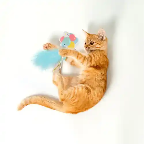 Barkbutler Fofos Birthday Balloon Catnip Toy for Cats