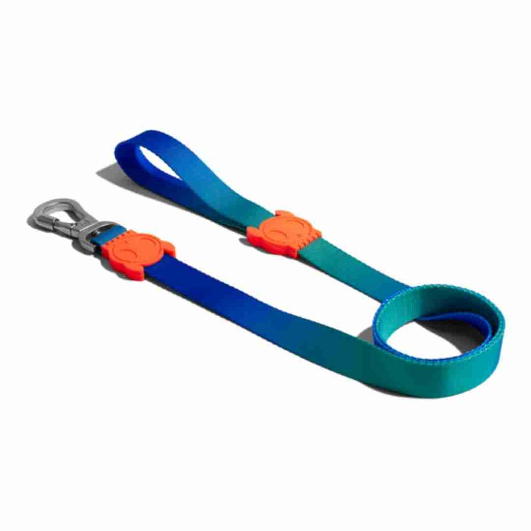 Zee.dog | Zee.Dog Tide Leash for Dogs