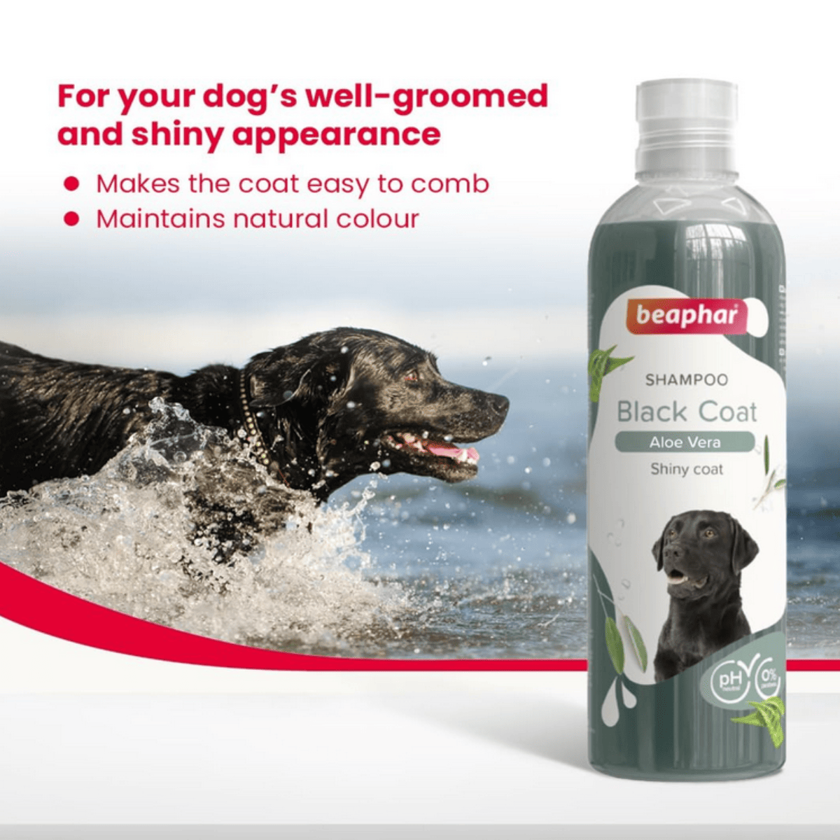Beaphar Black Coat with Aloe Vera Dog Shampoo