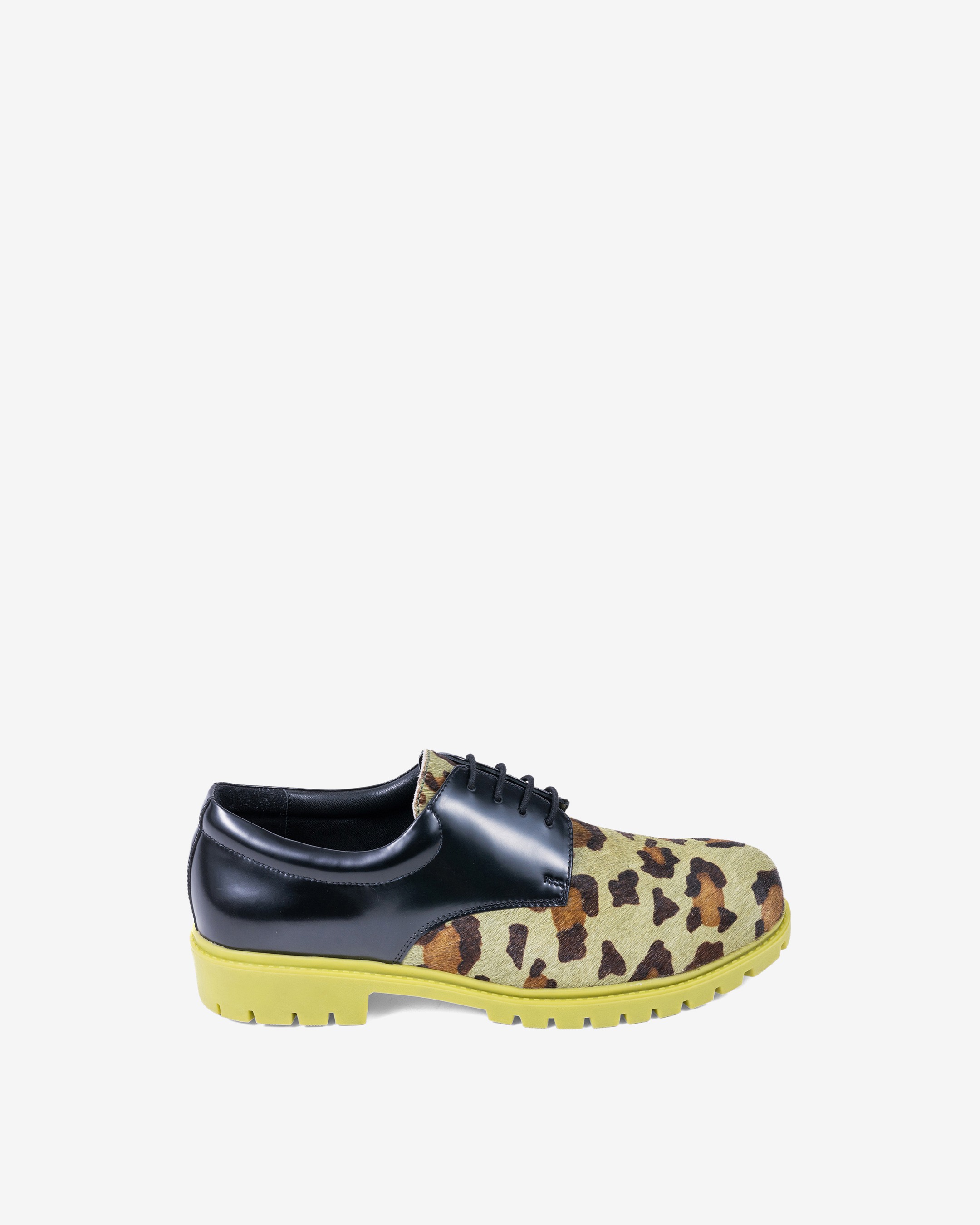 Safari