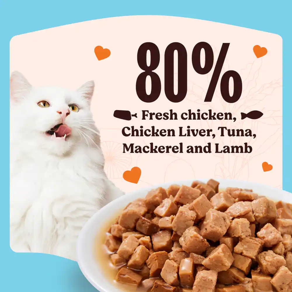 Kennel Kitchen Fish Chunks in Gravy Kitten and Adult Cat Wet Food, 80 g