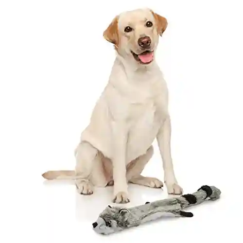 Barkbutler Fofos Skinneez Raccoon Toy for Dogs