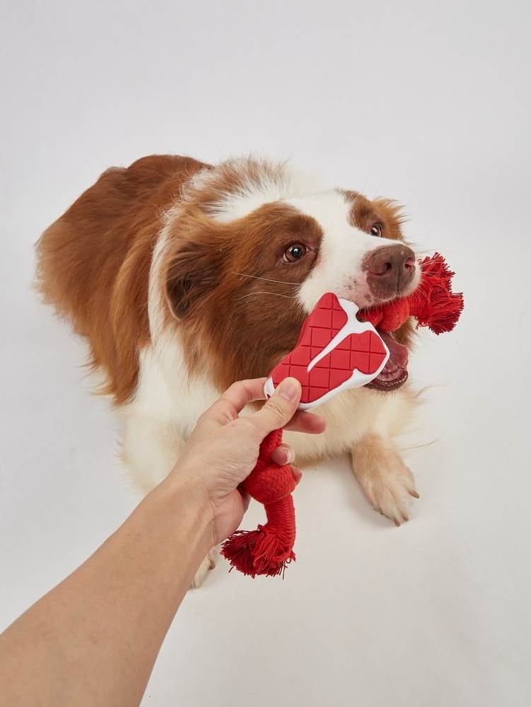 Fofos Dog Chew Rope Toy Steak