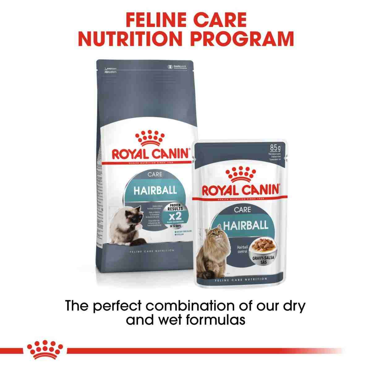 Royal Canin Hairball Care Dry Cat Food