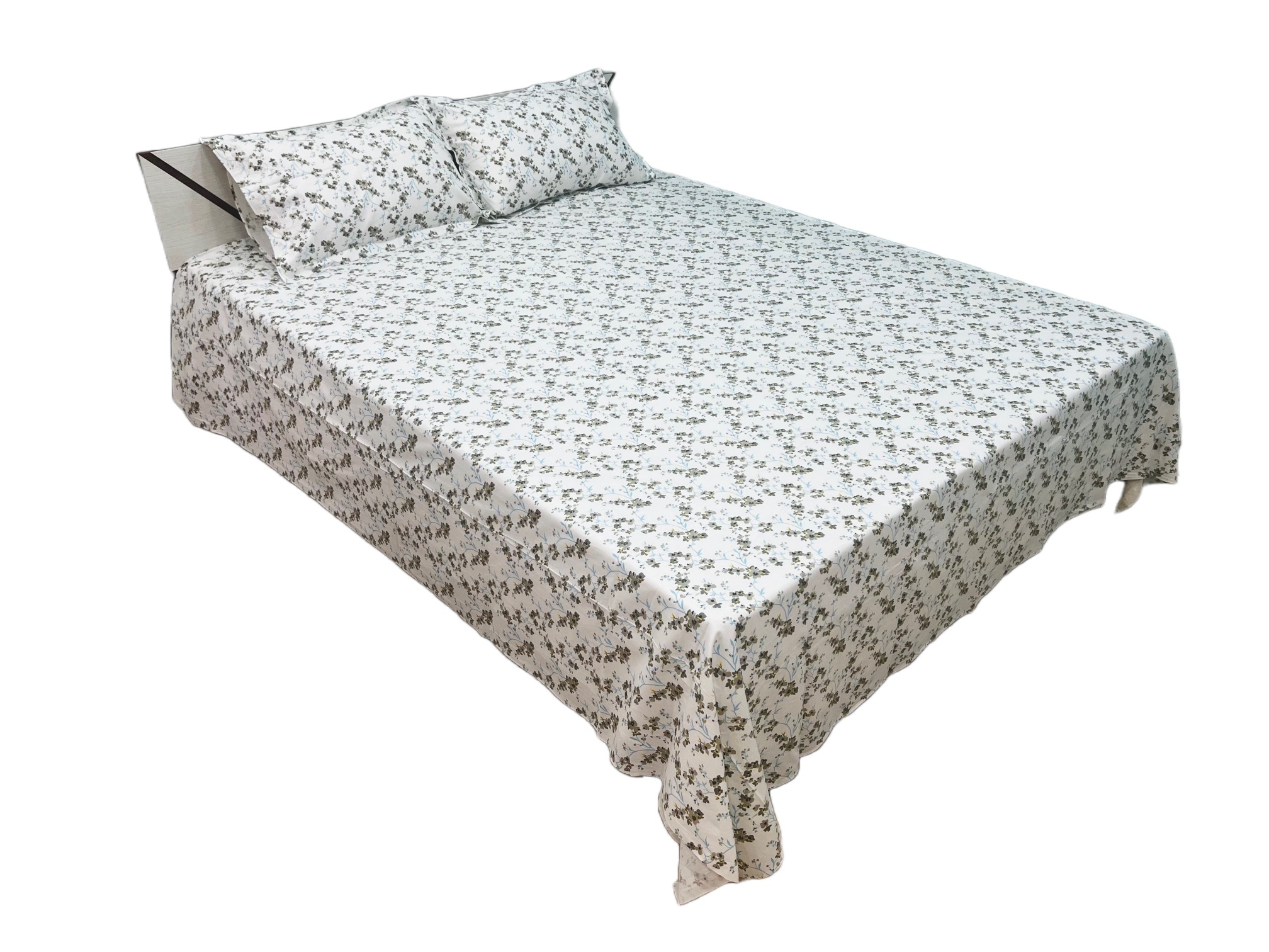 Boria Bistar | Boria Bistar Pure Cotton Printed Bedsheet with Pillow Cover|1