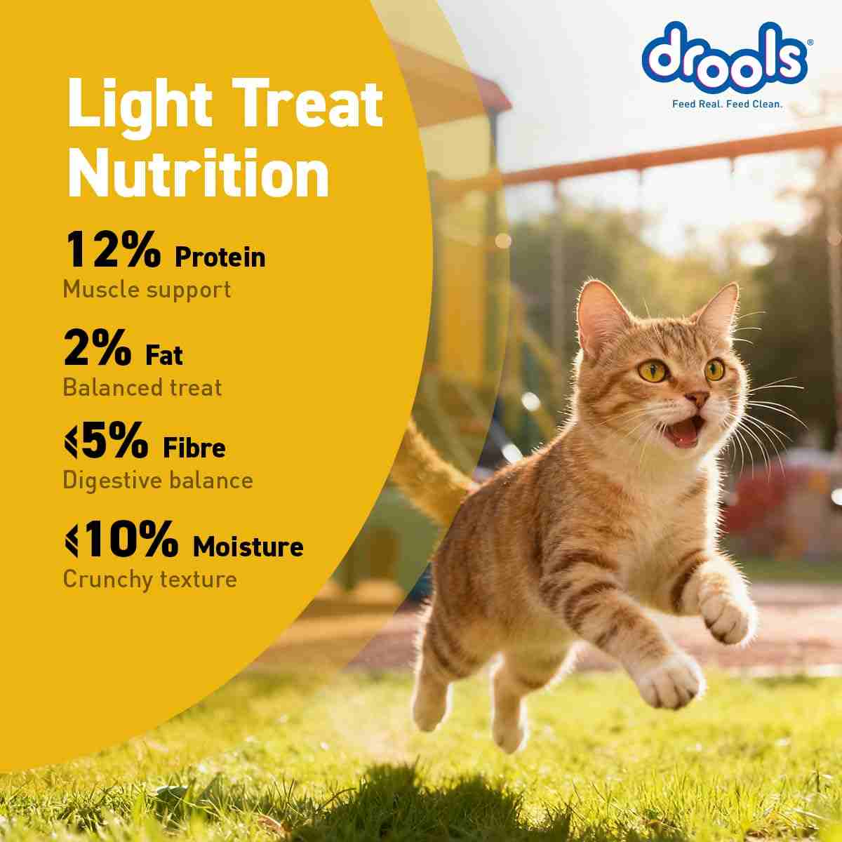 Drools Real Chicken Biscuits Cat Treats for All Life Stages, Jar