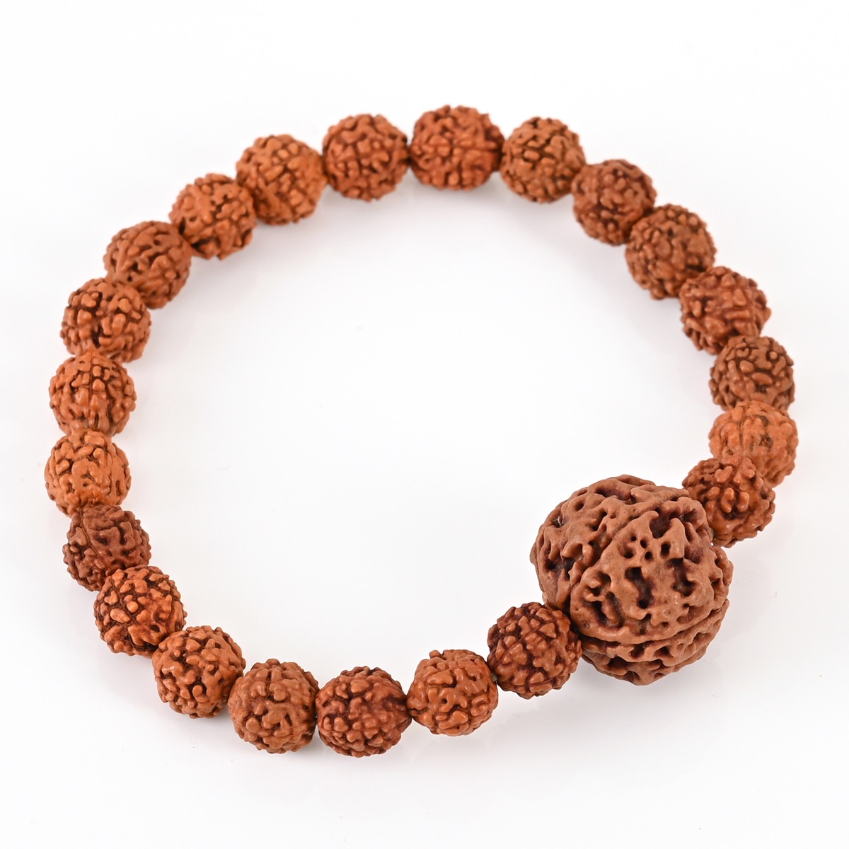 Shiv Ratan Kendra Genuine Rudraksha Bracelet
