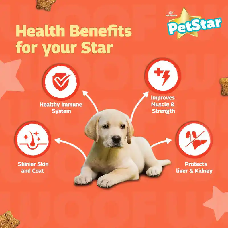 Petstar Chicken and Wheat Puppy Dry Food, 3kg