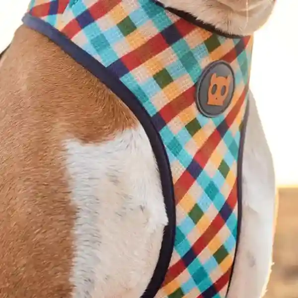 Zeedog Phantom Air Mesh Plus Dog Harness