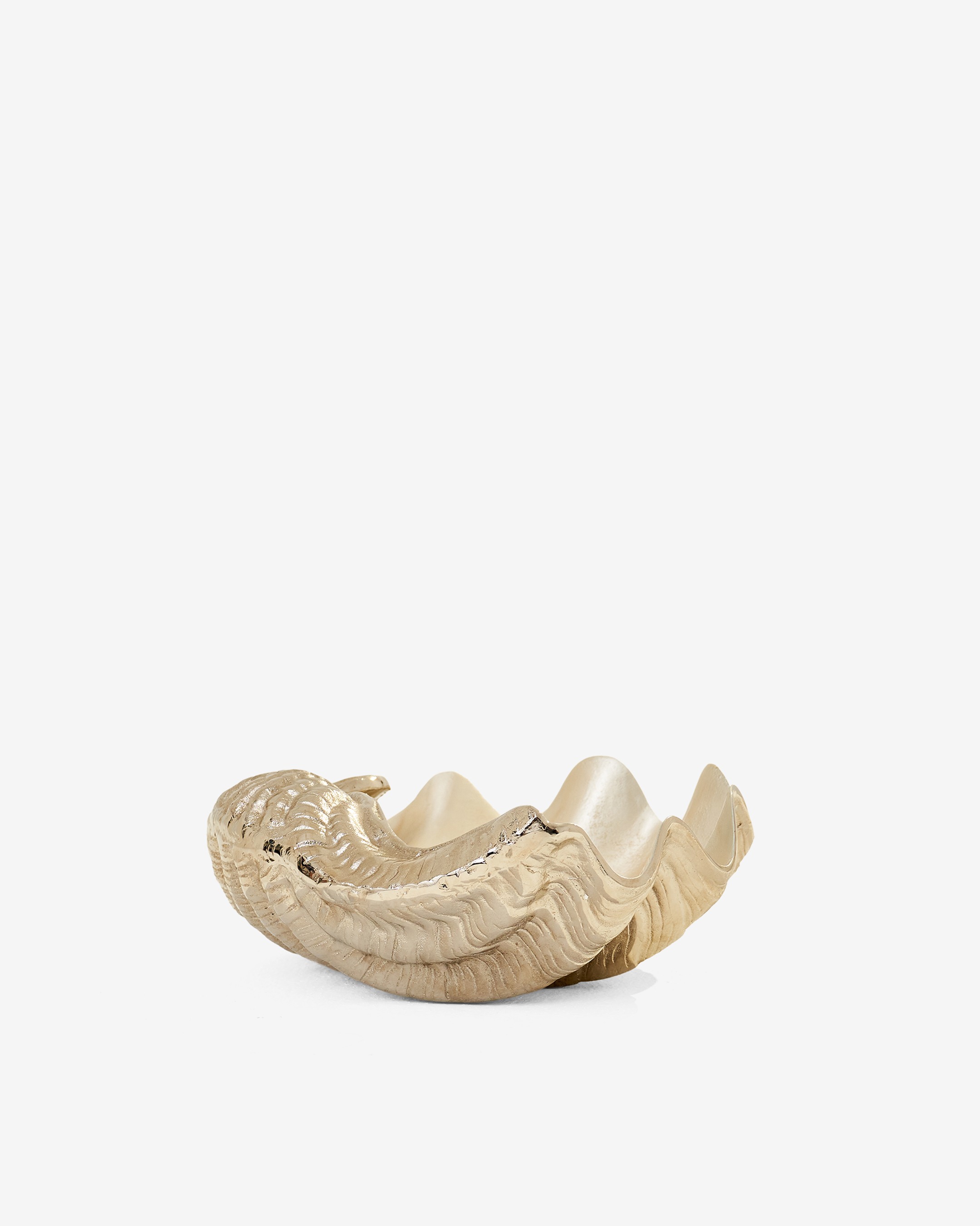 Seashell