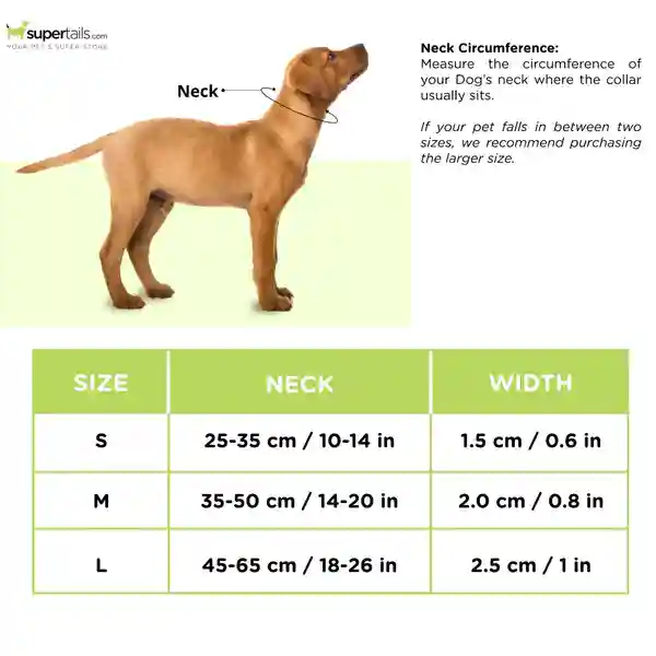 Barkbutler Truelove Padded Collar For Dogs, Orange