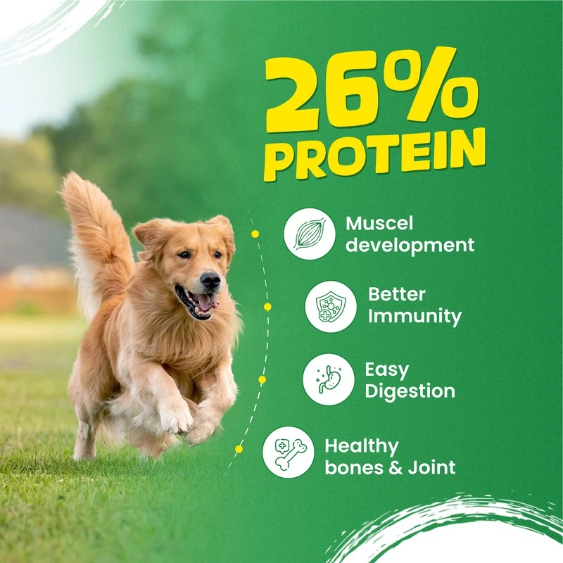 Well Fed Beneficial Grain Salmon and Veggies Dry Food for Dogs