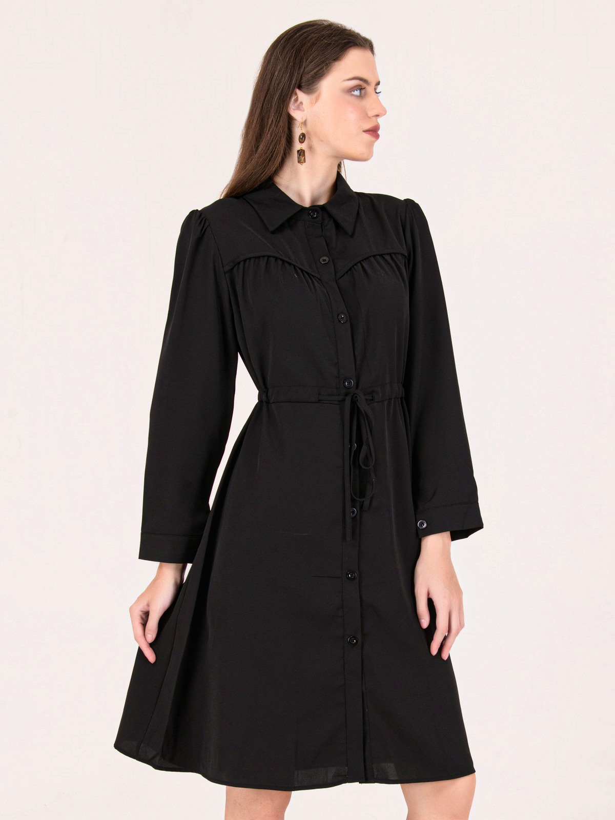 Albion Women Black Smart Dress