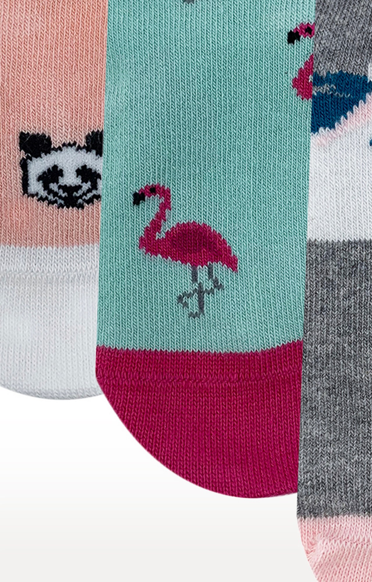 Mint & Oak | Mint & Oak Magical Feeling Cotton Multi Ankle Length Socks for Kids - Pack of 3 2