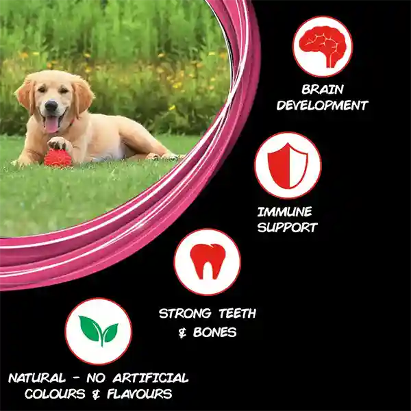 Purina Supercoat Puppy All Breed Dry Dog Food