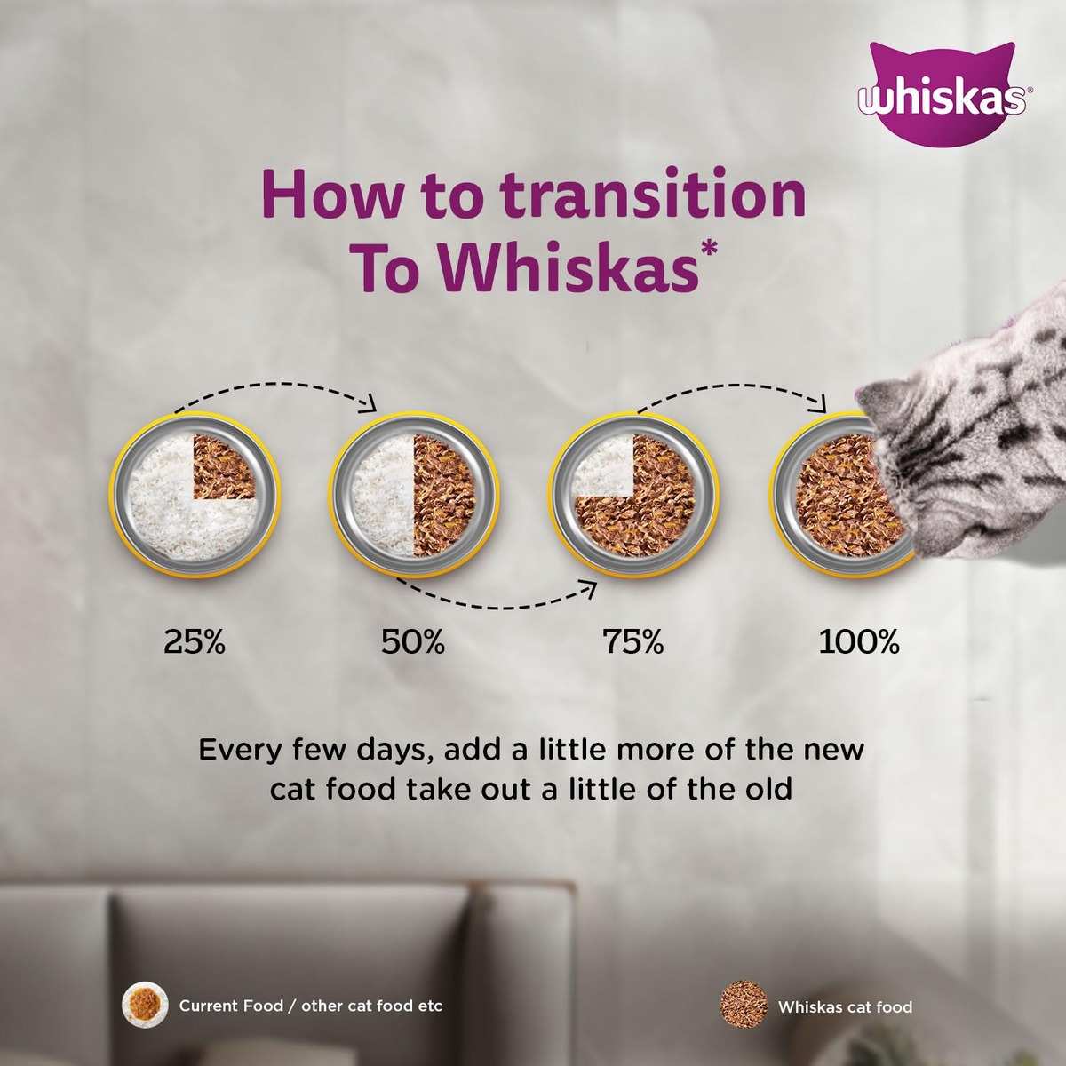 Whiskas Chicken Gravy Adult Wet Cat (1+ year) Food, 80g