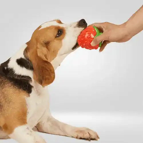 Barkbutler Fofos Silence Strawberry Squeaky Chew Toy for Dogs