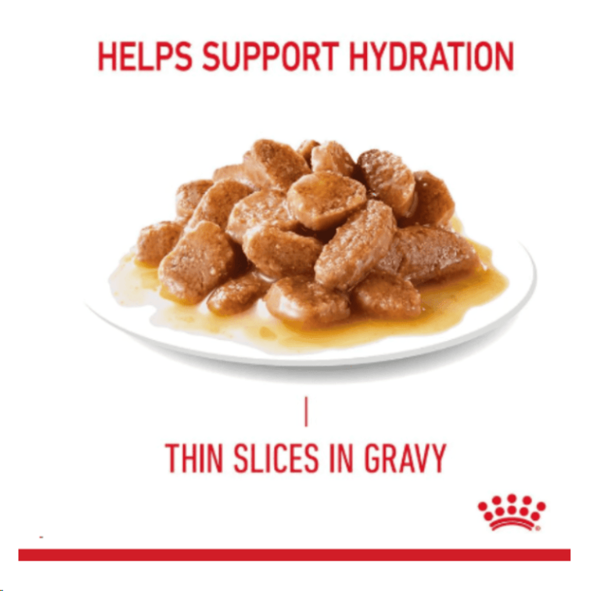 Royal Canin Hair & Skin Care Adult Gravy Cat Wet Food – 85 g