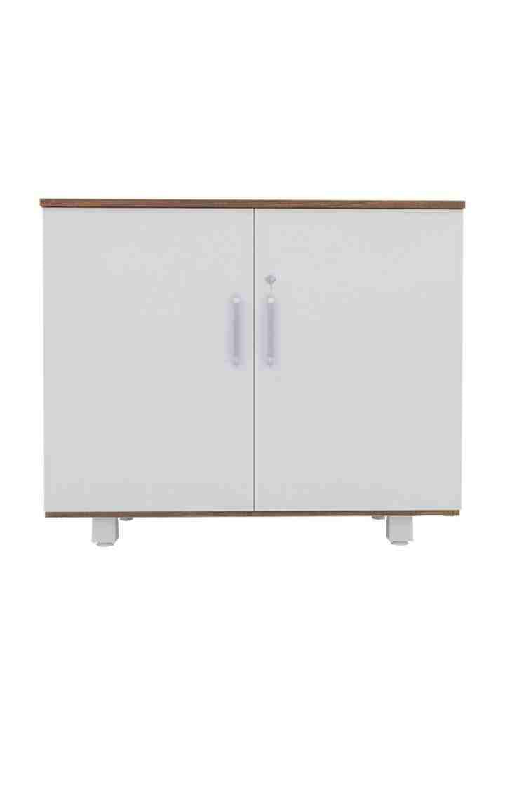 Ronald Filo 2 Door Cabinet - Leon Teak