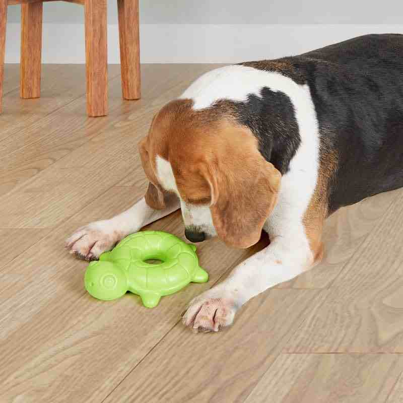 Barkbutler Fofos Ocean Turtle Squeaky Chew Toy for Dogs