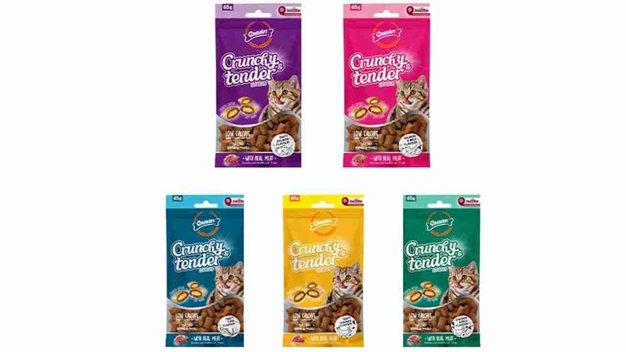 Gnawlers Crunchy & Tender Tasty Chicken Flavour for Cats, 65 gm