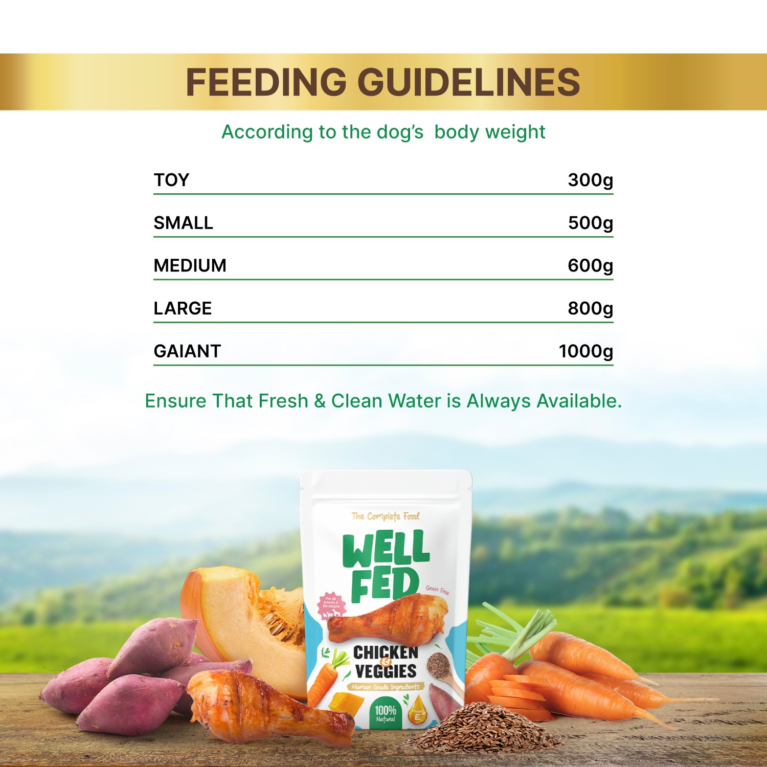 Well Fed Chicken & Veggies Wet Dog Food 300 g