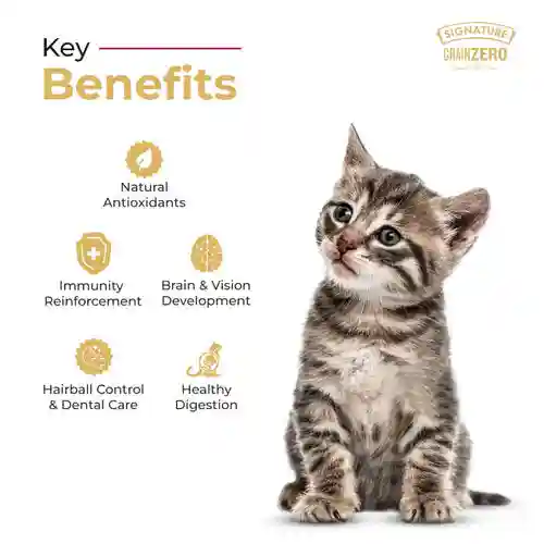 Grain Zero Ocean Fish, Sardine & Mackerel Mother and Kitten Cat Dry Food