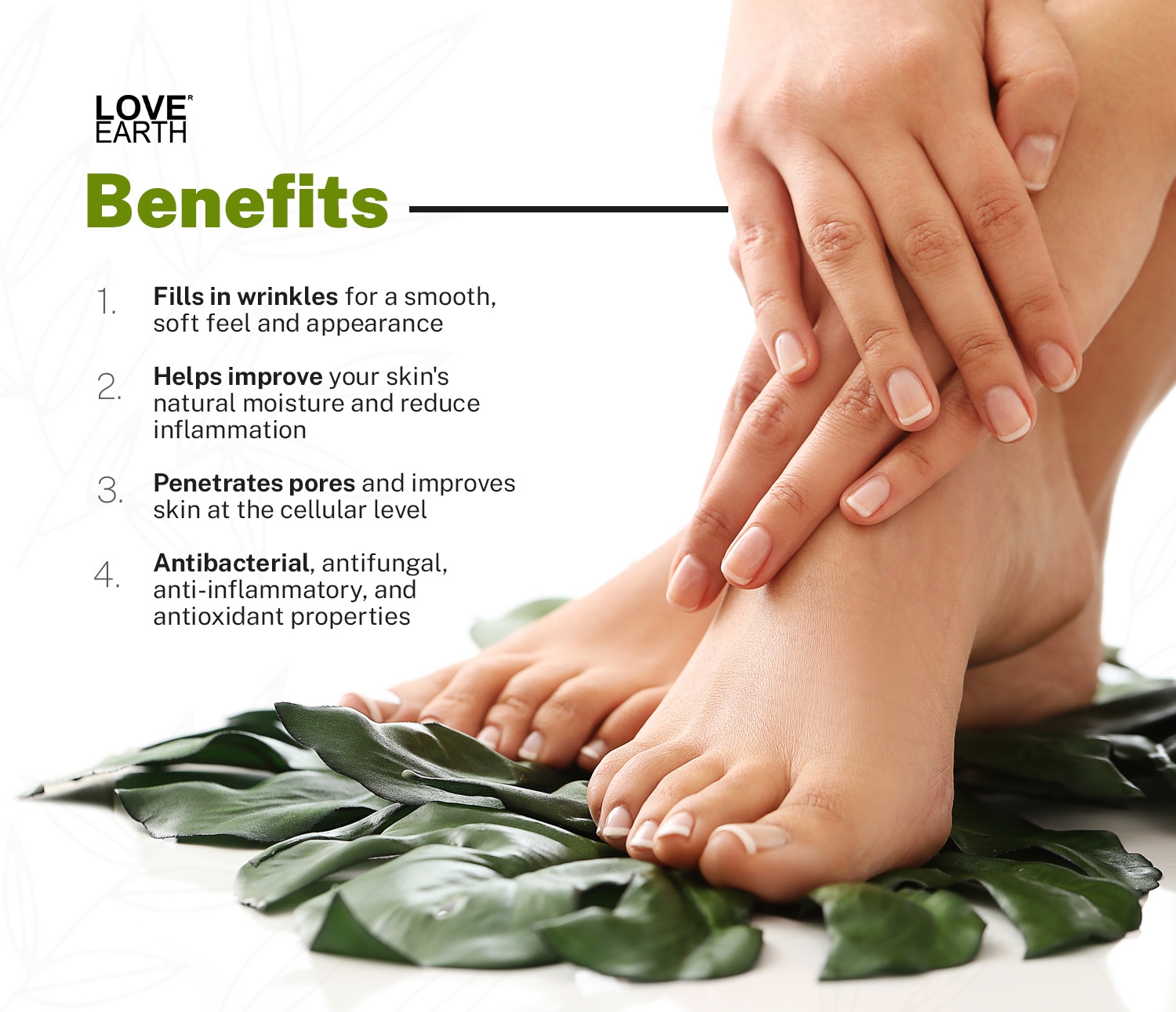 LOVE EARTH | Love Earth Organic Foot Cream With Green Tea & Jojoba Oil(Simmondsia Chinensis) For Skin Hydration And Soft Skin 50gm 3