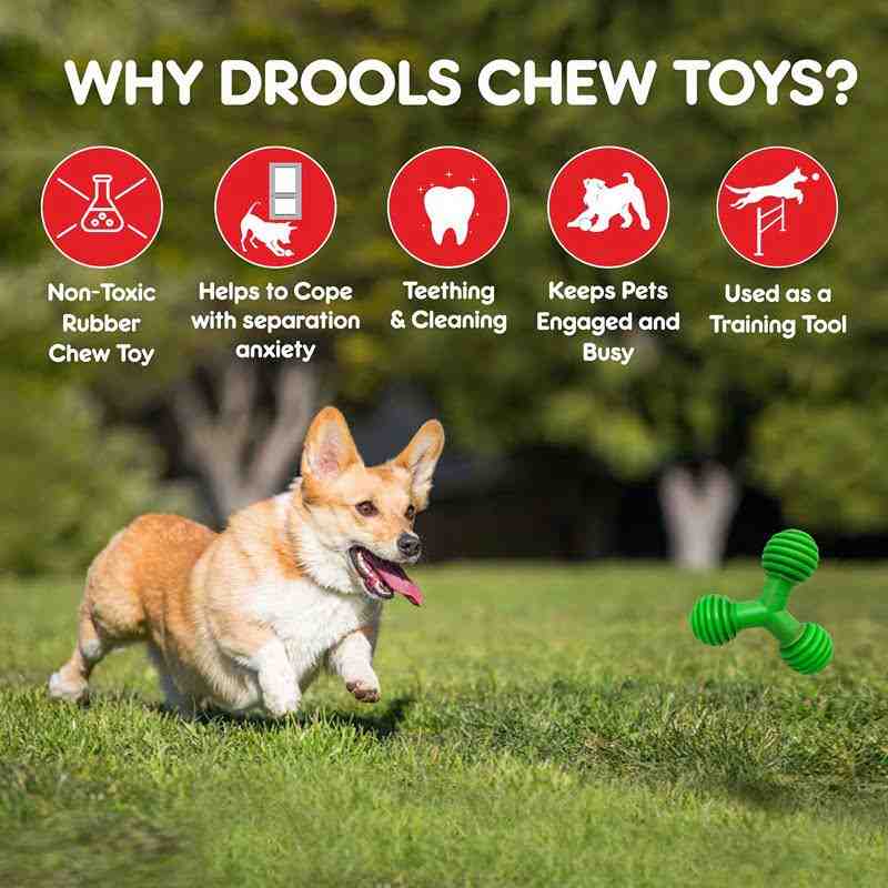 Drools Trio Bolt Dog Toy